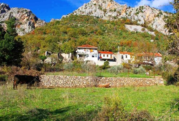 Apartmani Dumezic Bar Εξωτερικό φωτογραφία