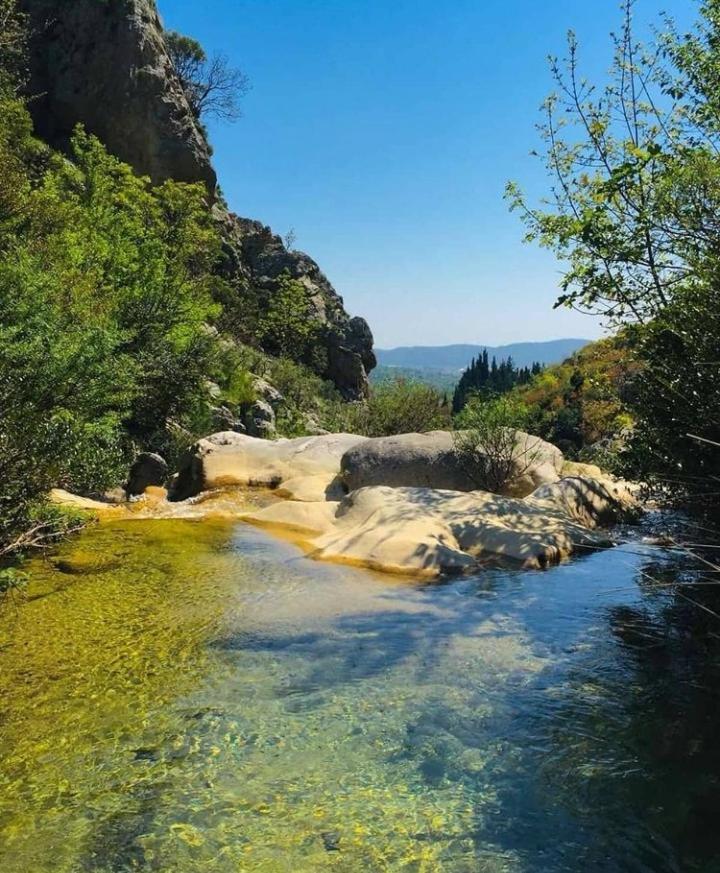 Apartmani Dumezic Bar Εξωτερικό φωτογραφία