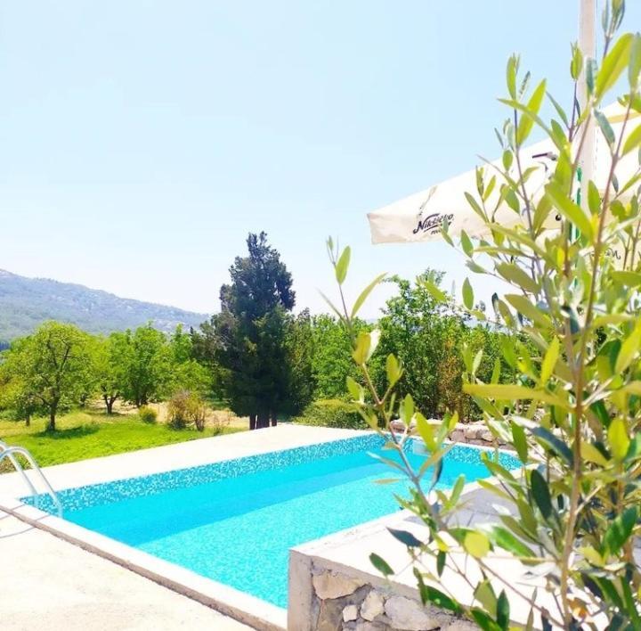 Apartmani Dumezic Bar Εξωτερικό φωτογραφία
