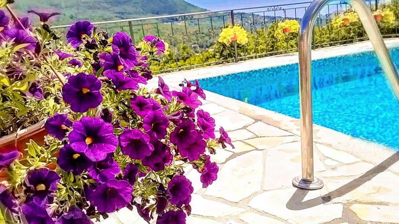 Apartmani Dumezic Bar Δωμάτιο φωτογραφία