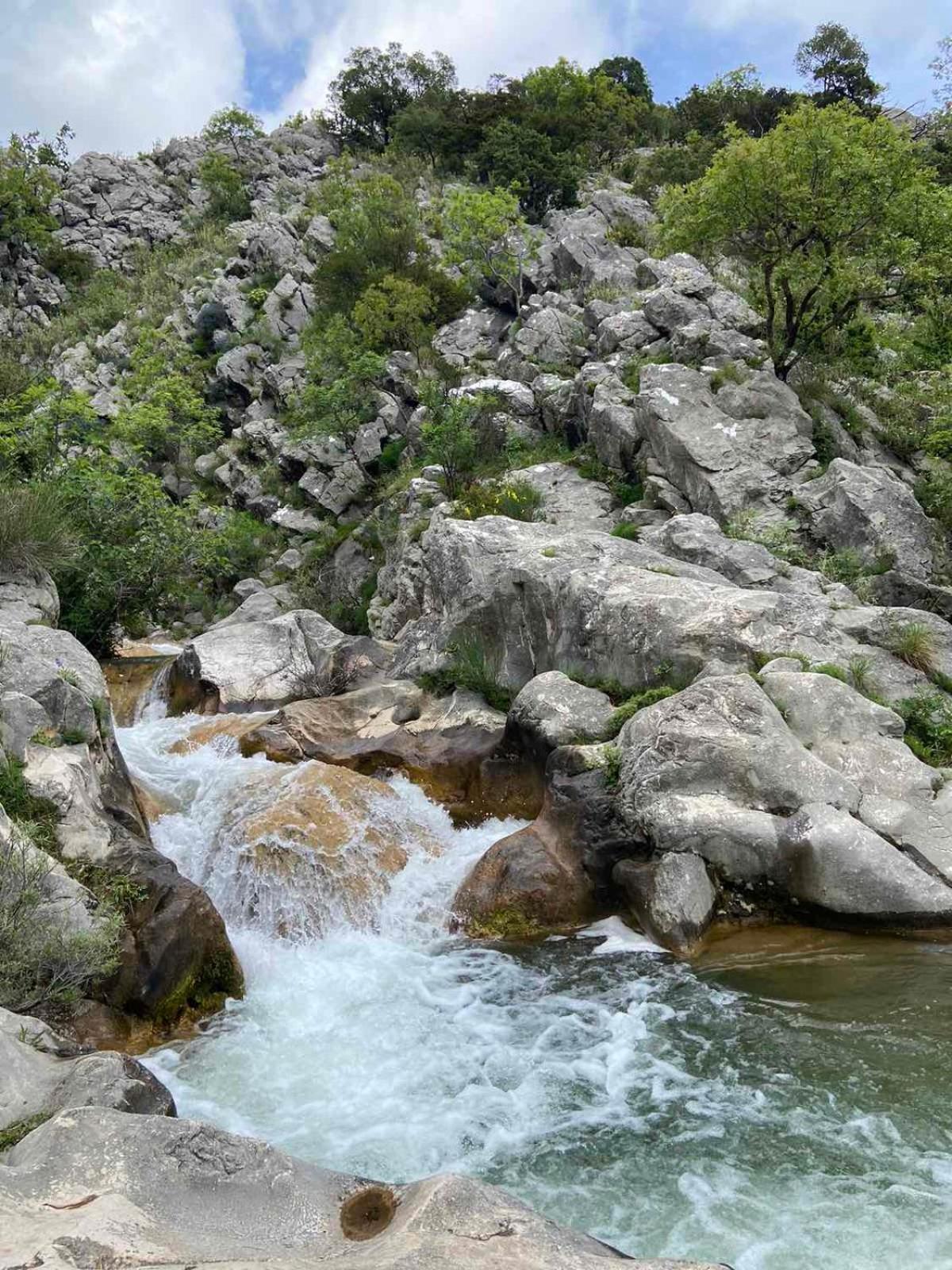Apartmani Dumezic Bar Εξωτερικό φωτογραφία