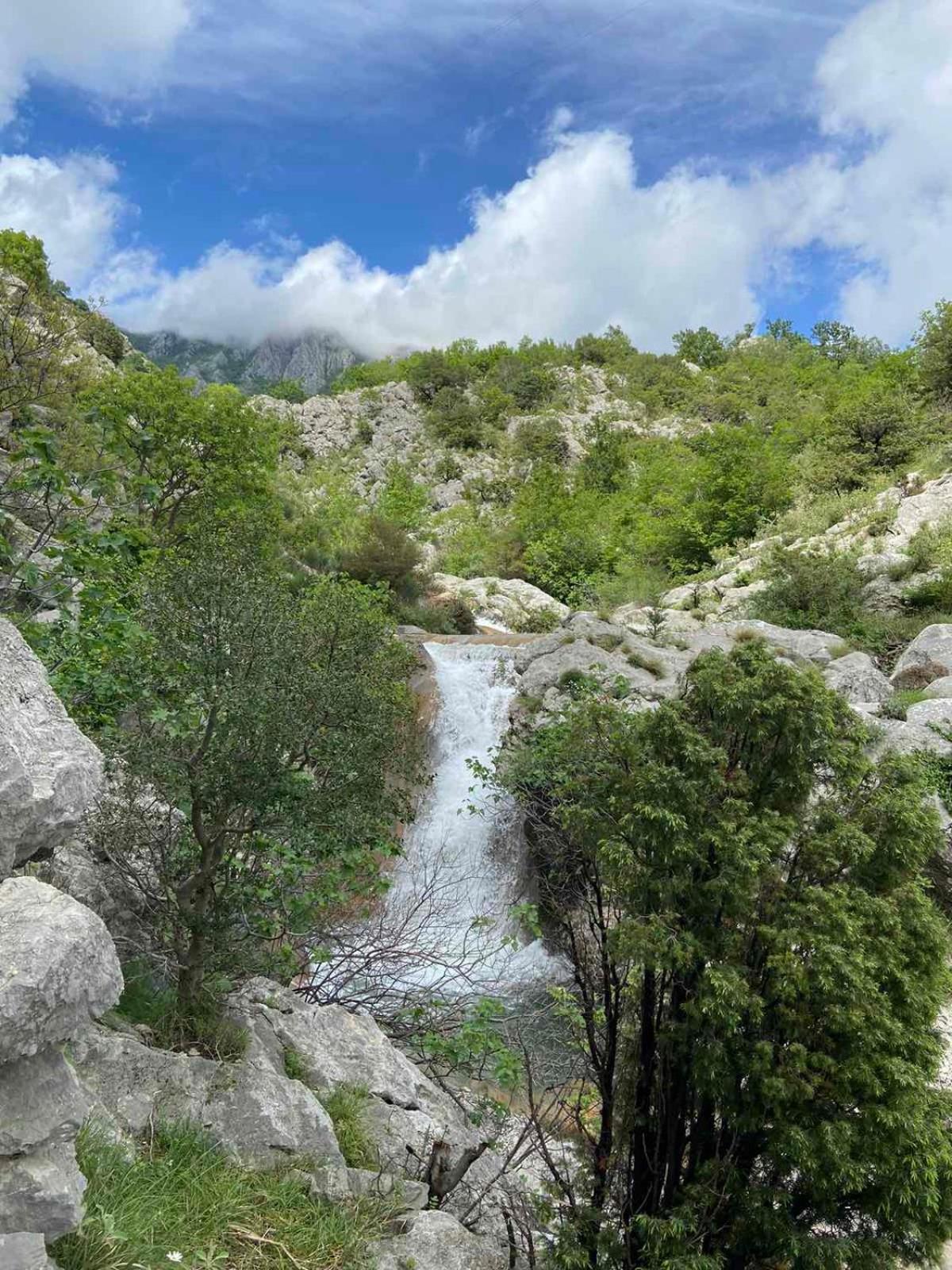 Apartmani Dumezic Bar Εξωτερικό φωτογραφία